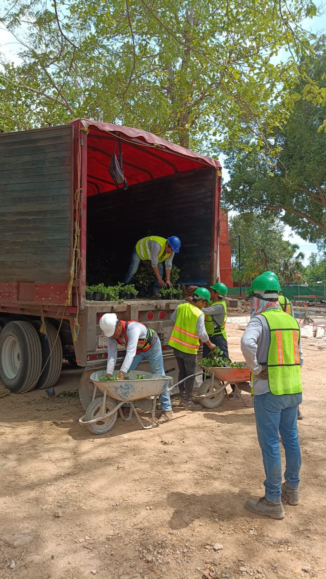 servicios de Mayan Garden