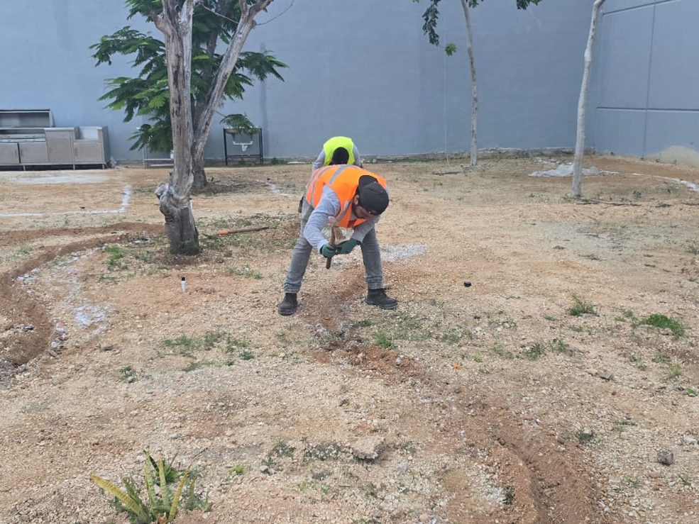servicios de Mayan Garden