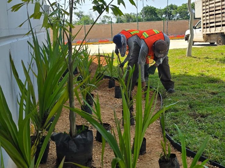 servicios de Mayan Garden