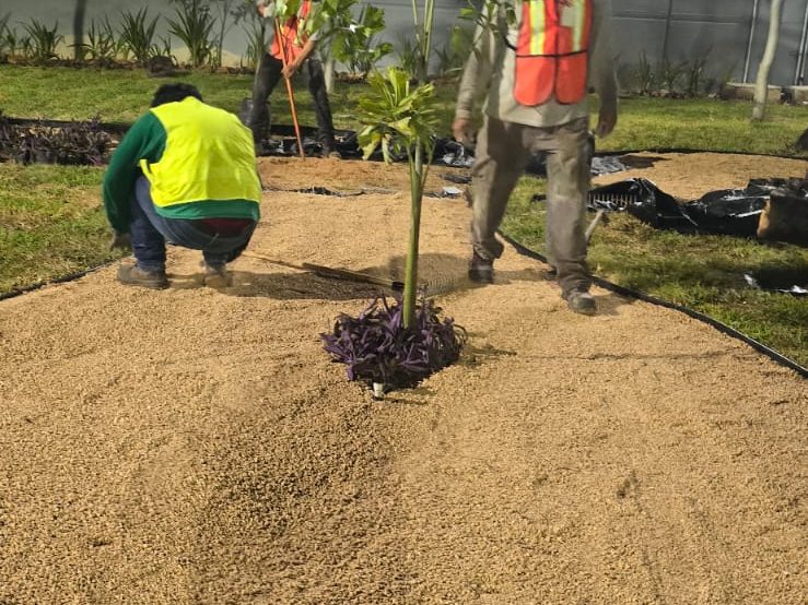 servicios de Mayan Garden