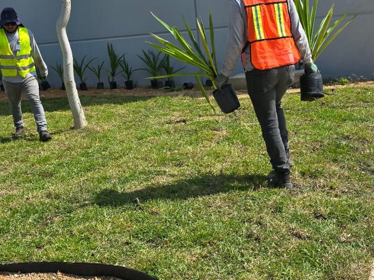 servicios de Mayan Garden