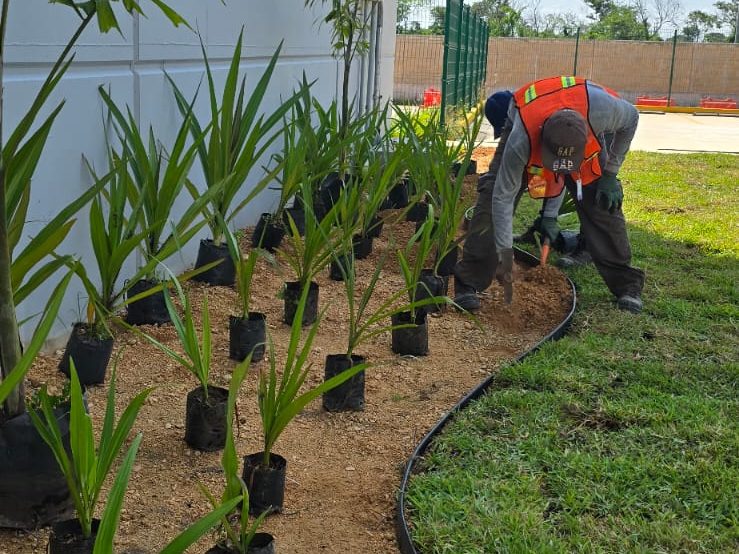servicios de Mayan Garden