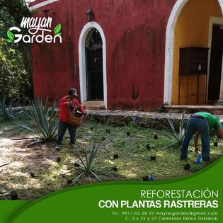 servicios de Mayan Garden