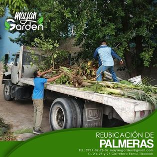 servicios de Mayan Garden