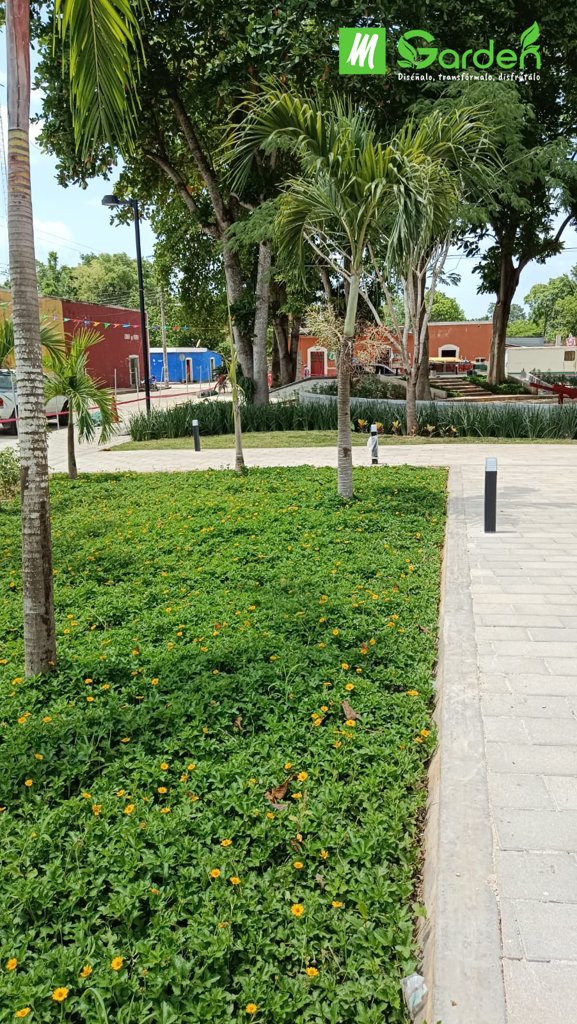 servicios de Mayan Garden