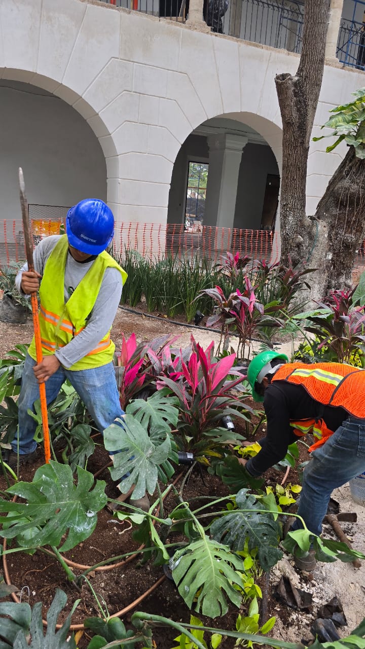 servicios de Mayan Garden