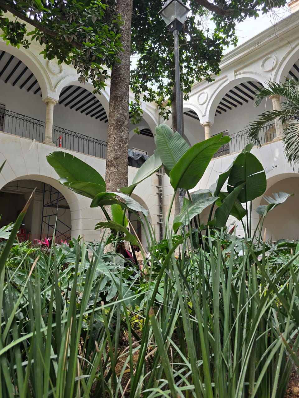 servicios de Mayan Garden