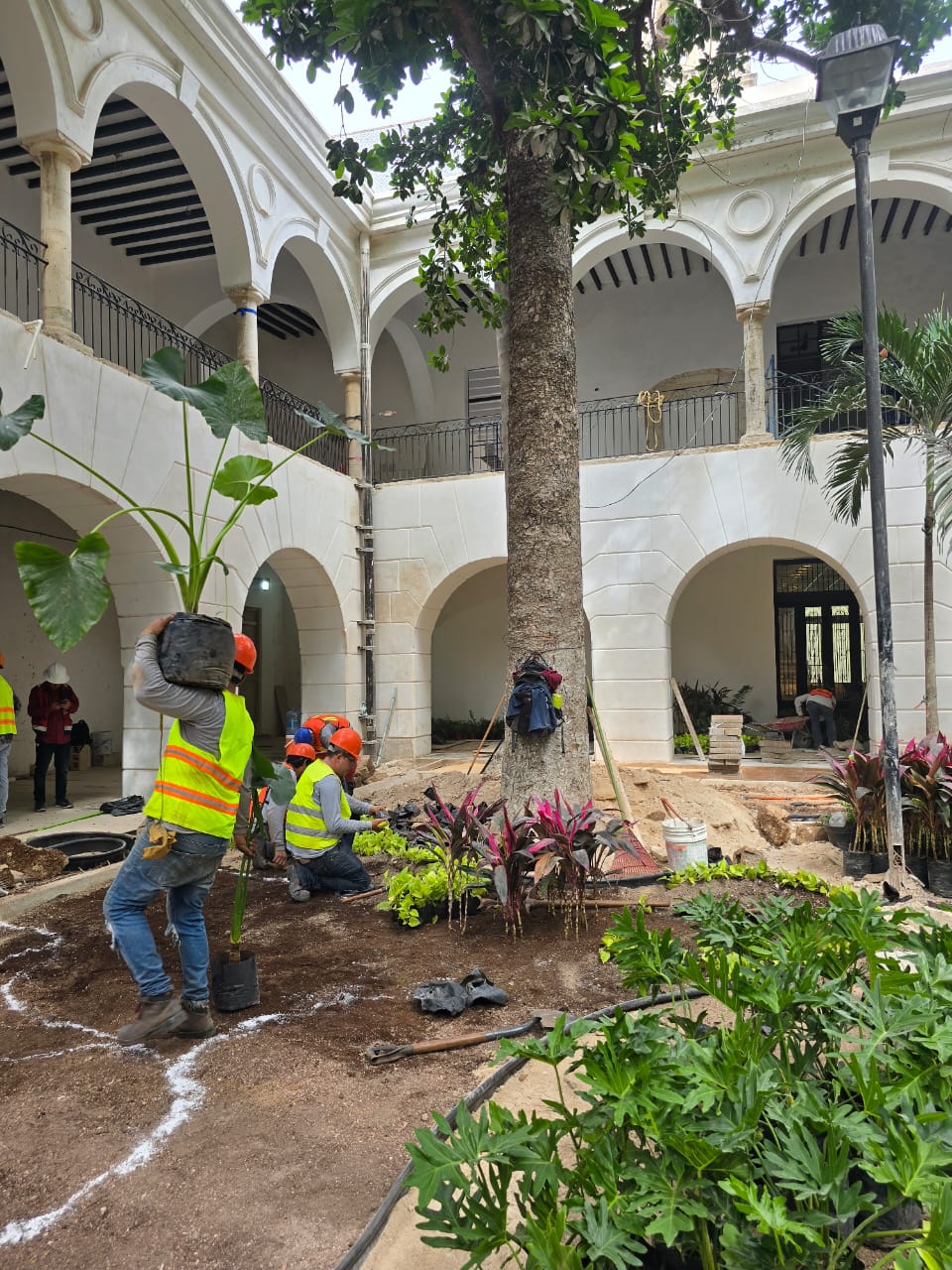 servicios de Mayan Garden