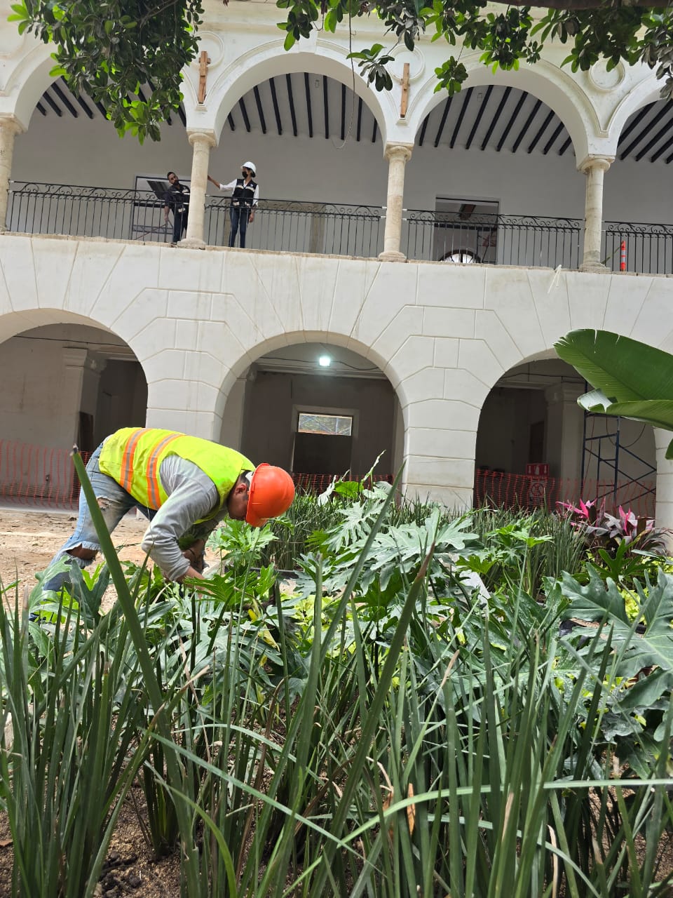 servicios de Mayan Garden