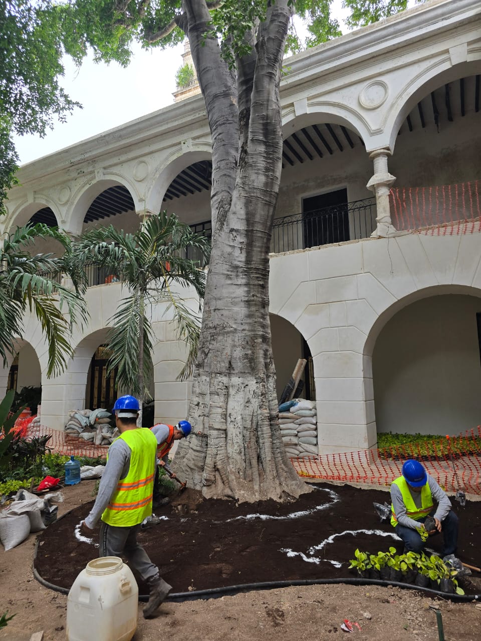 servicios de Mayan Garden