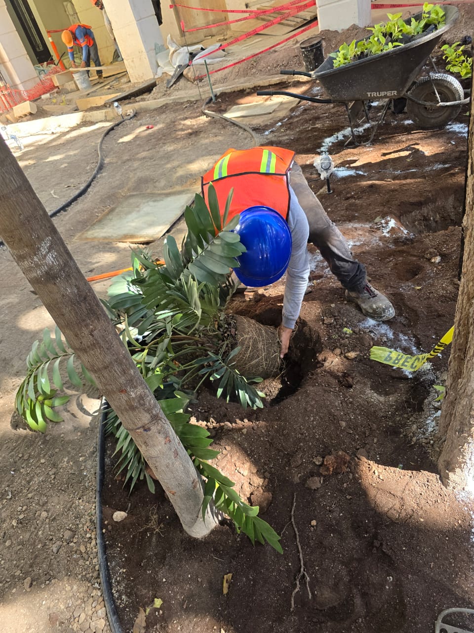 servicios de Mayan Garden