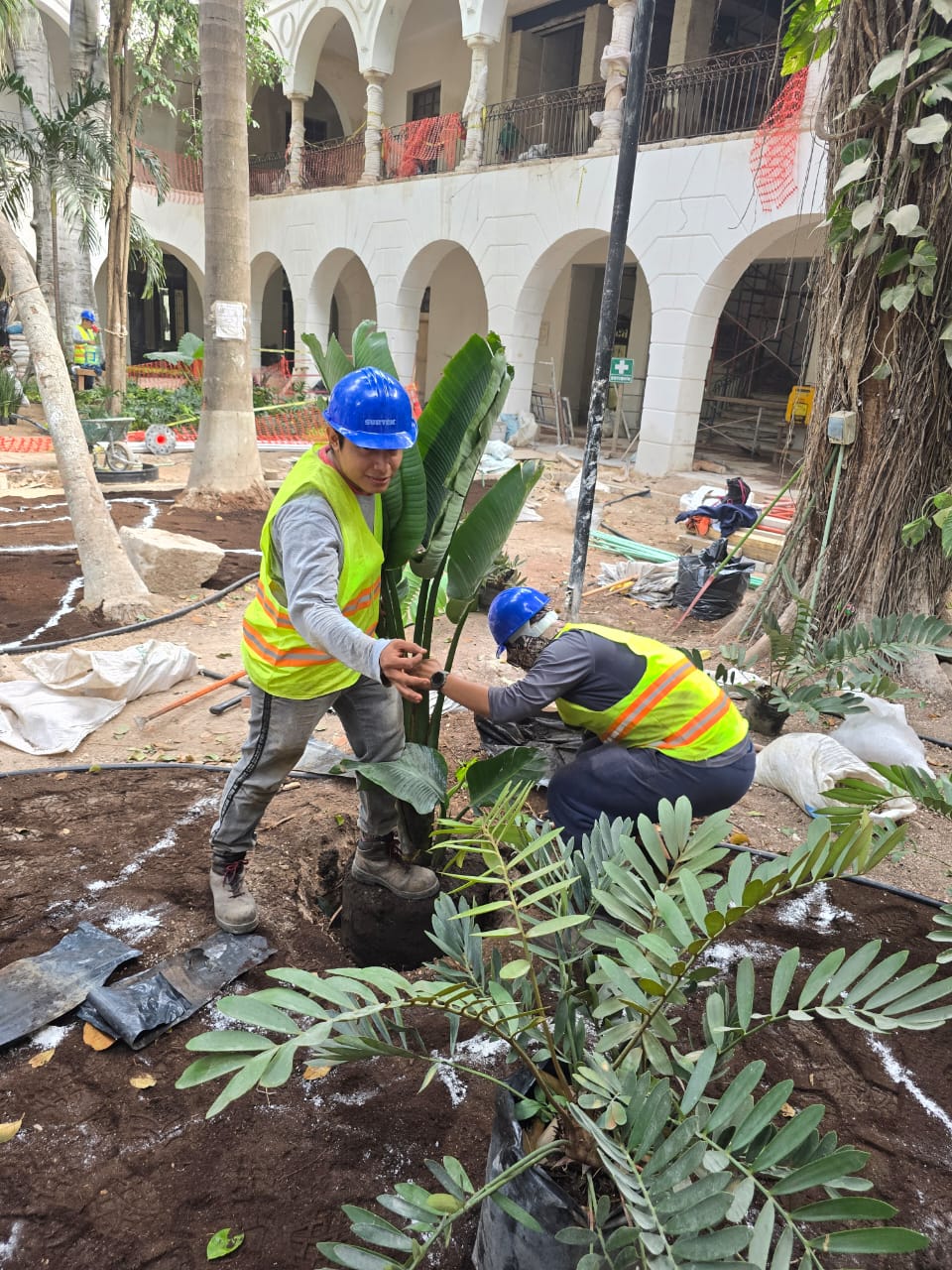 servicios de Mayan Garden