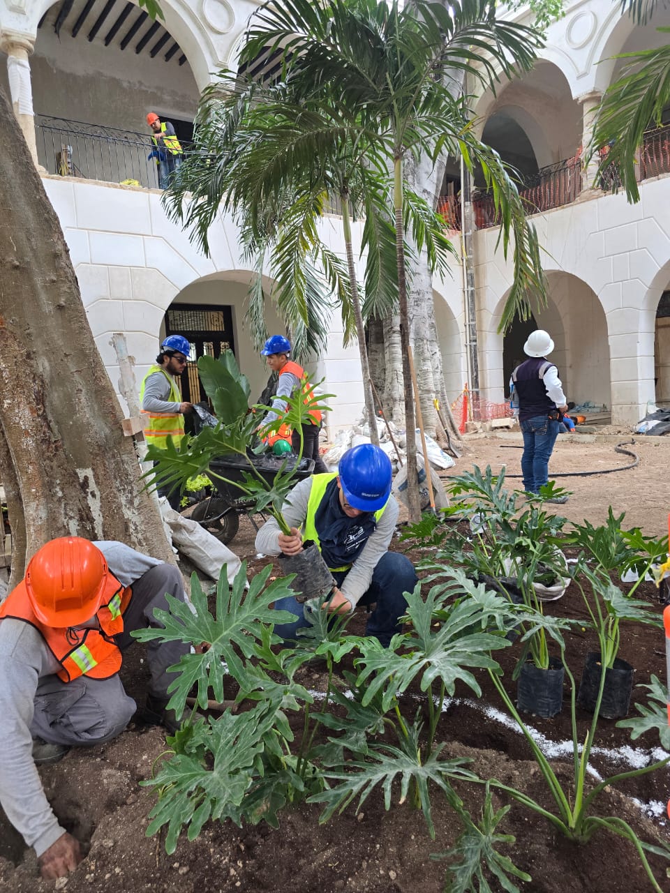 servicios de Mayan Garden