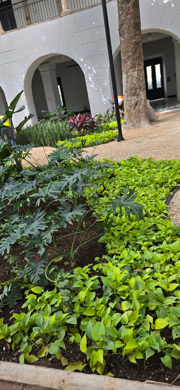 servicios de Mayan Garden