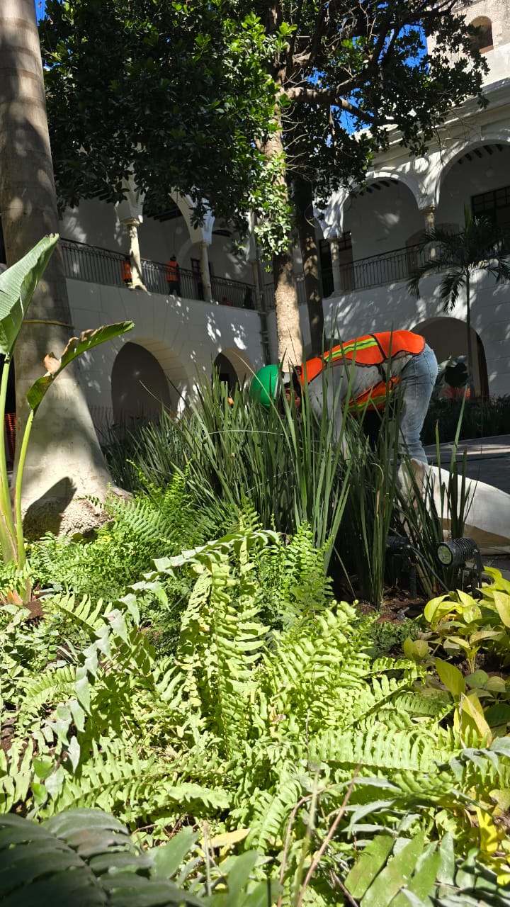 servicios de Mayan Garden