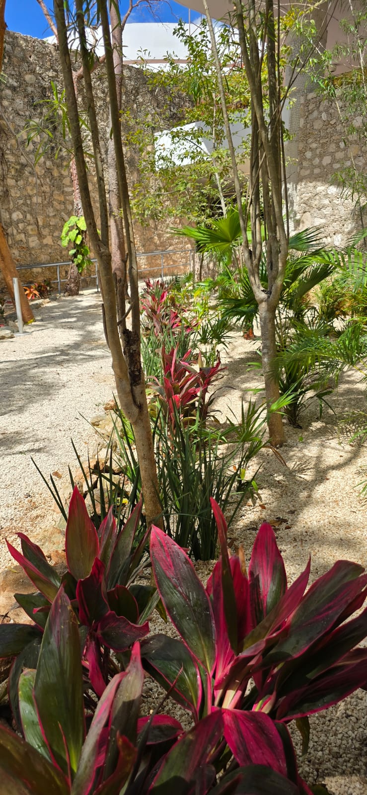 servicios de Mayan Garden