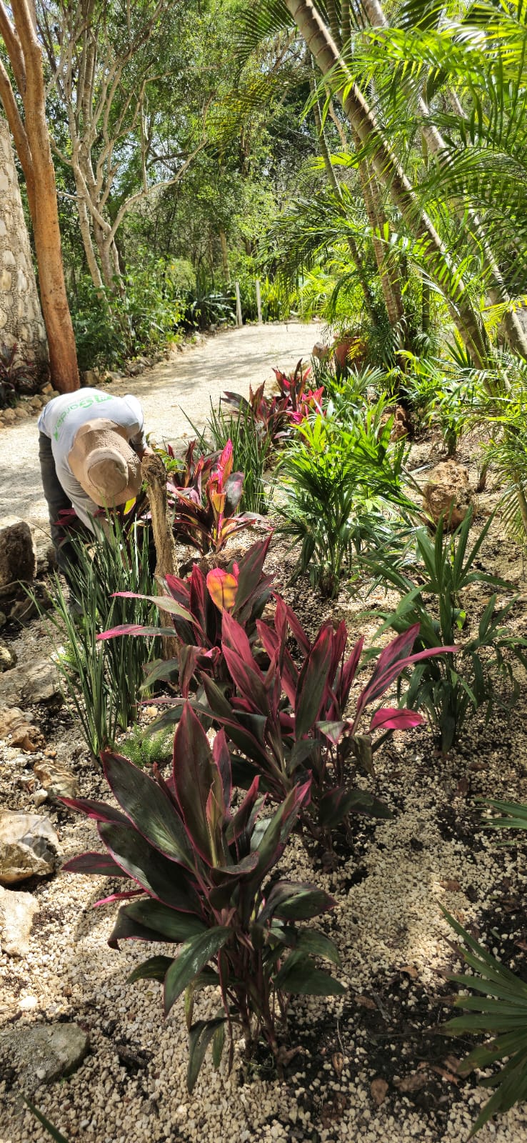 servicios de Mayan Garden