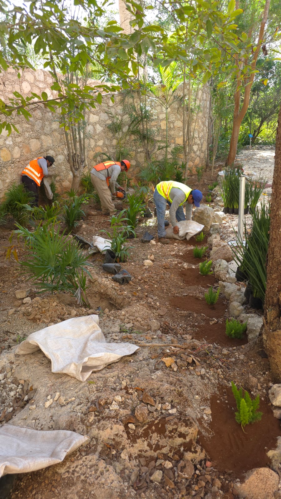 servicios de Mayan Garden