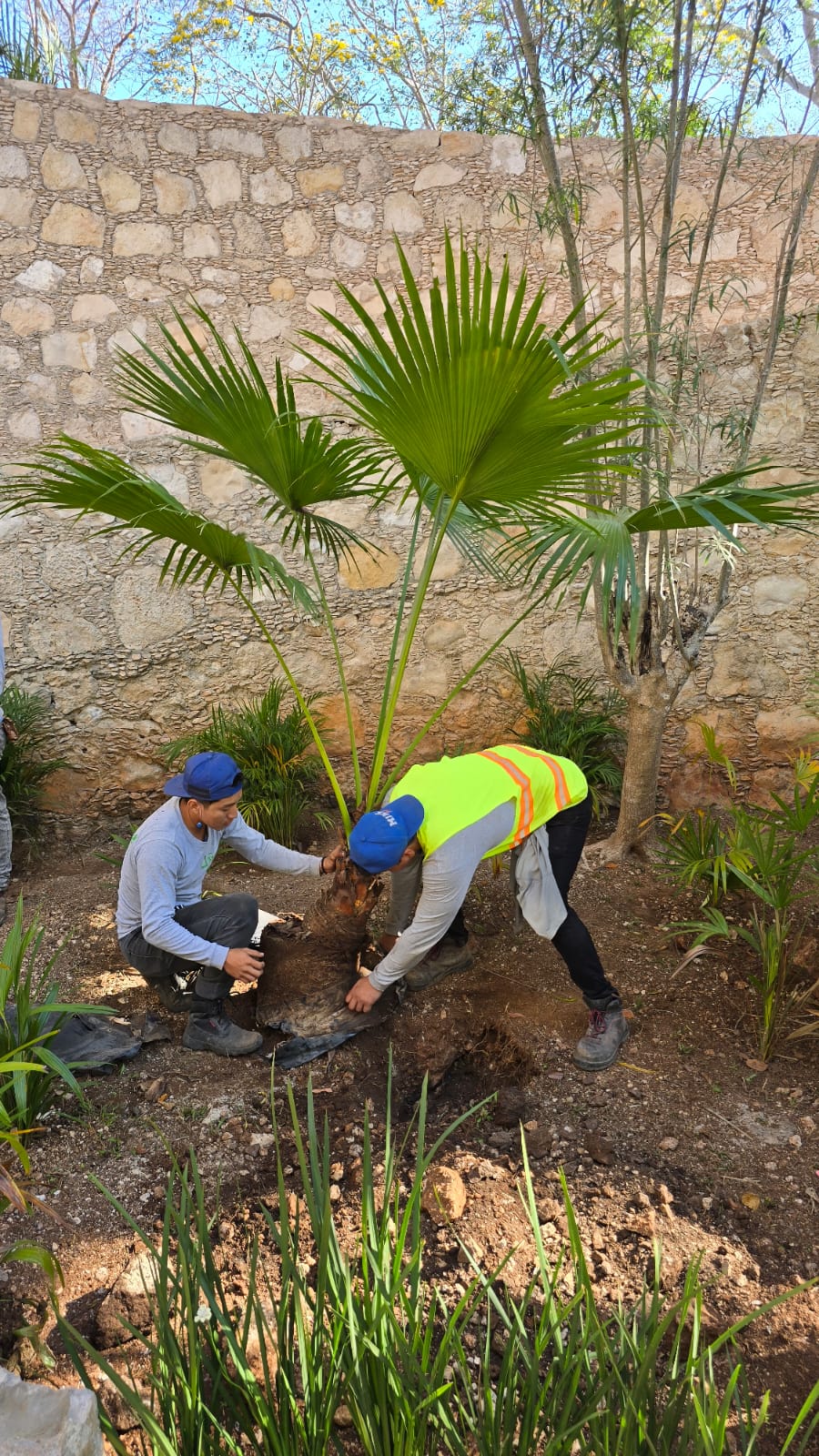 servicios de Mayan Garden