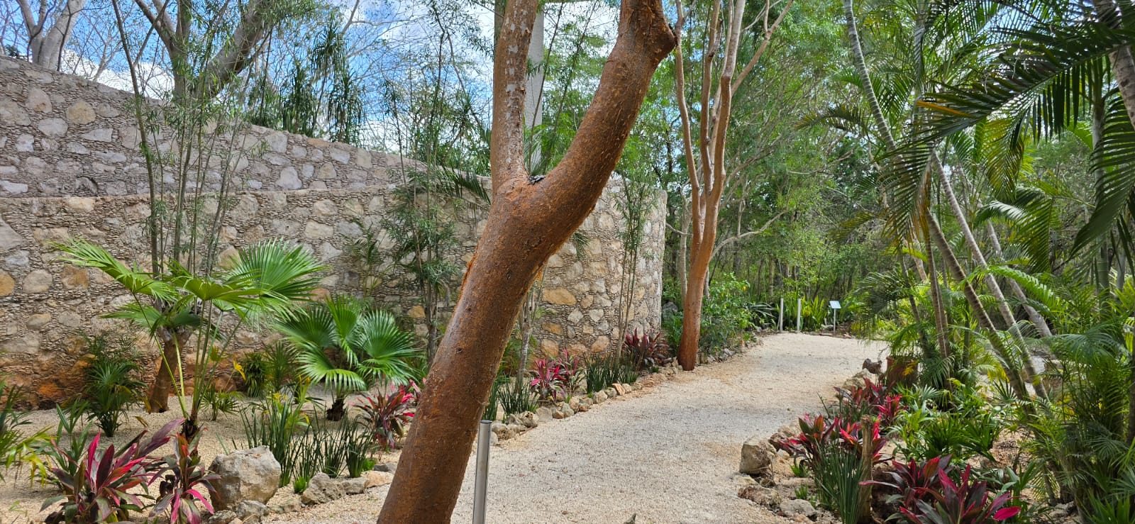 servicios de Mayan Garden
