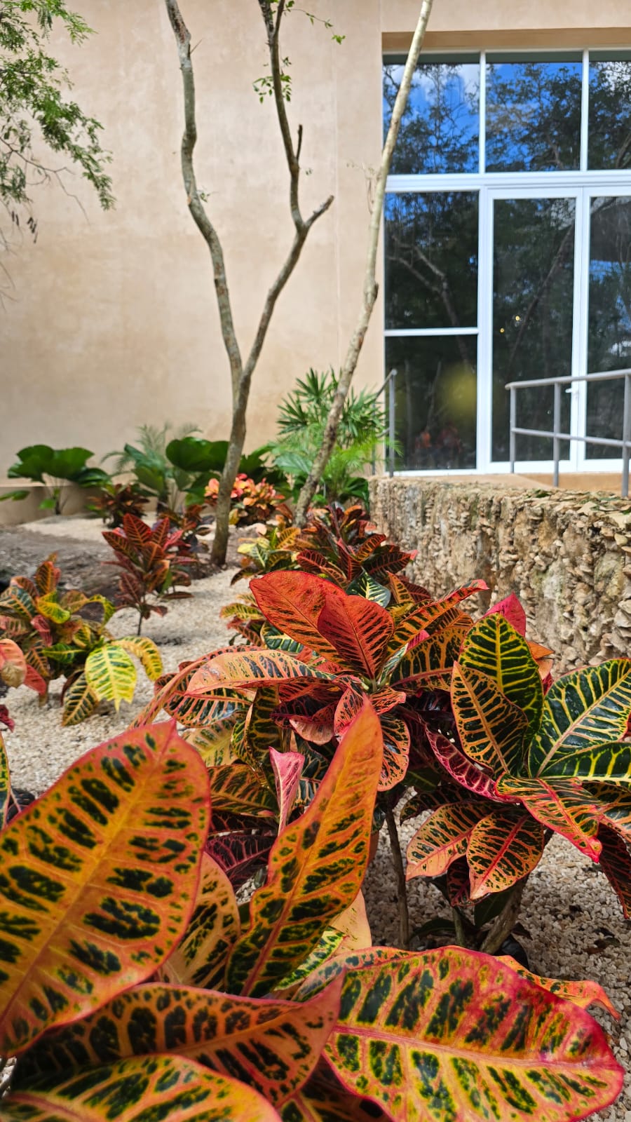 servicios de Mayan Garden