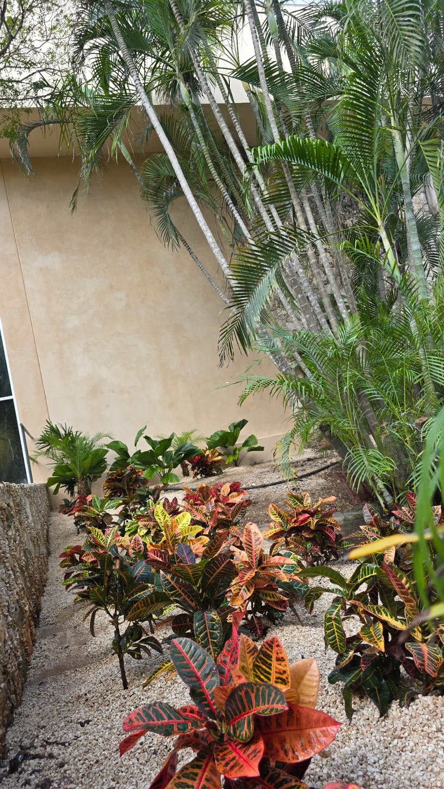 servicios de Mayan Garden