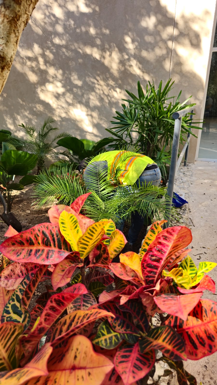 servicios de Mayan Garden