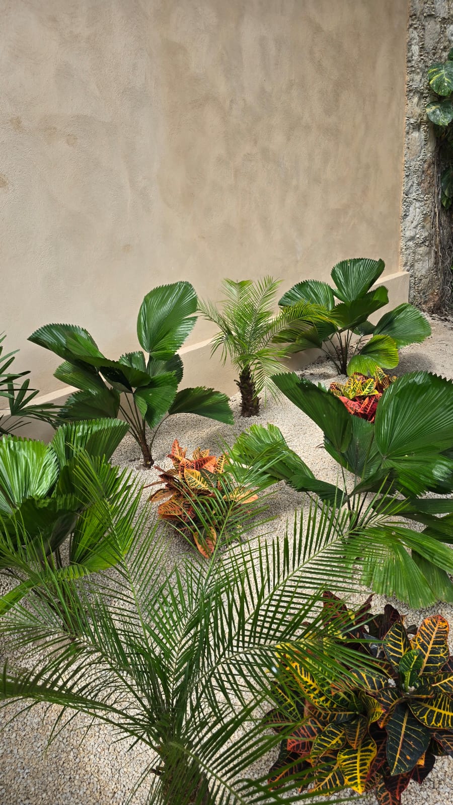 servicios de Mayan Garden