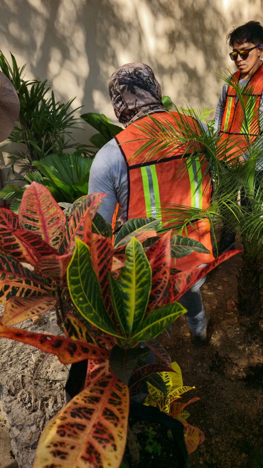 servicios de Mayan Garden