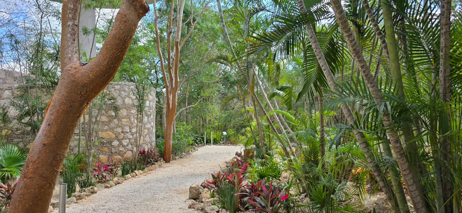 servicios de Mayan Garden