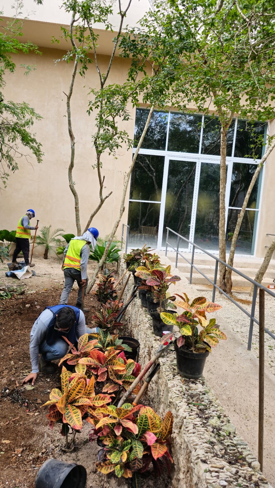 servicios de Mayan Garden