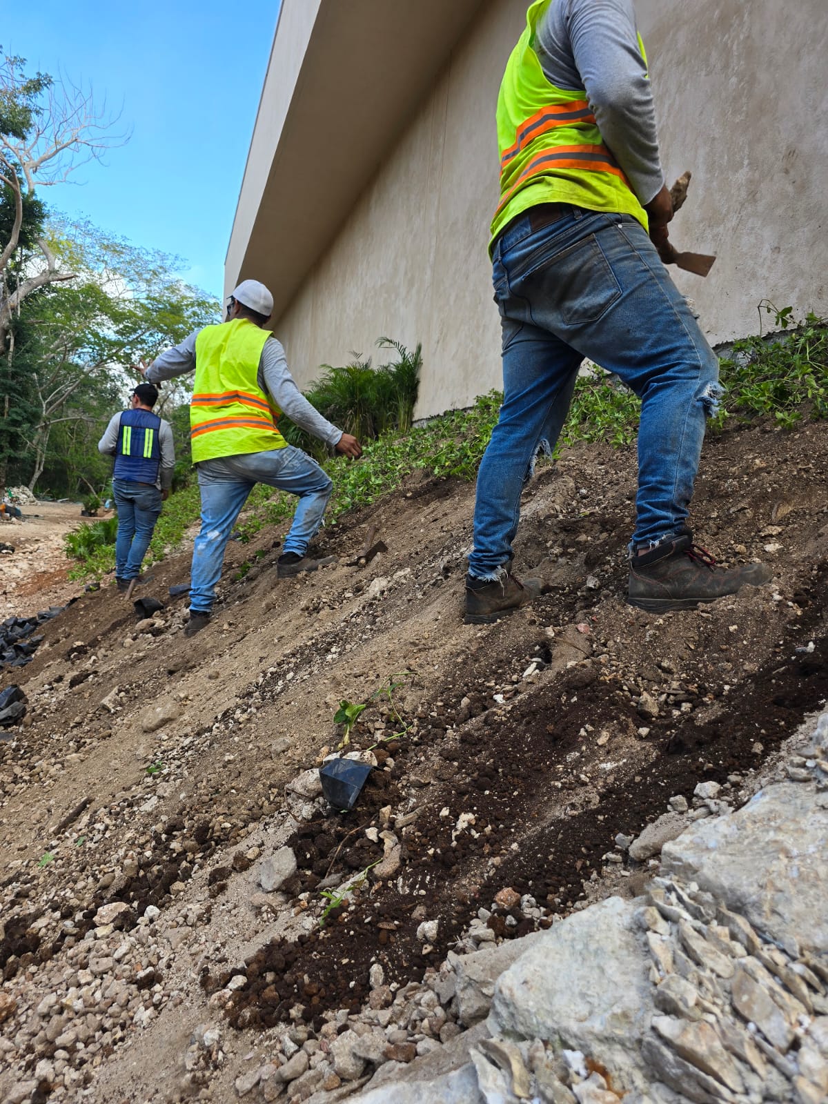 servicios de Mayan Garden