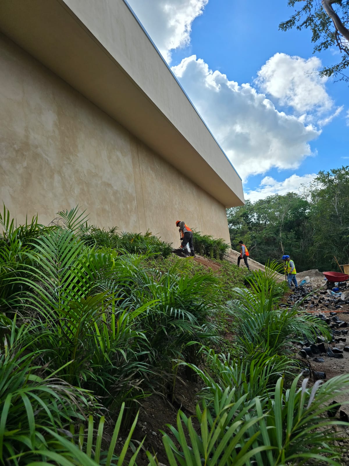 servicios de Mayan Garden