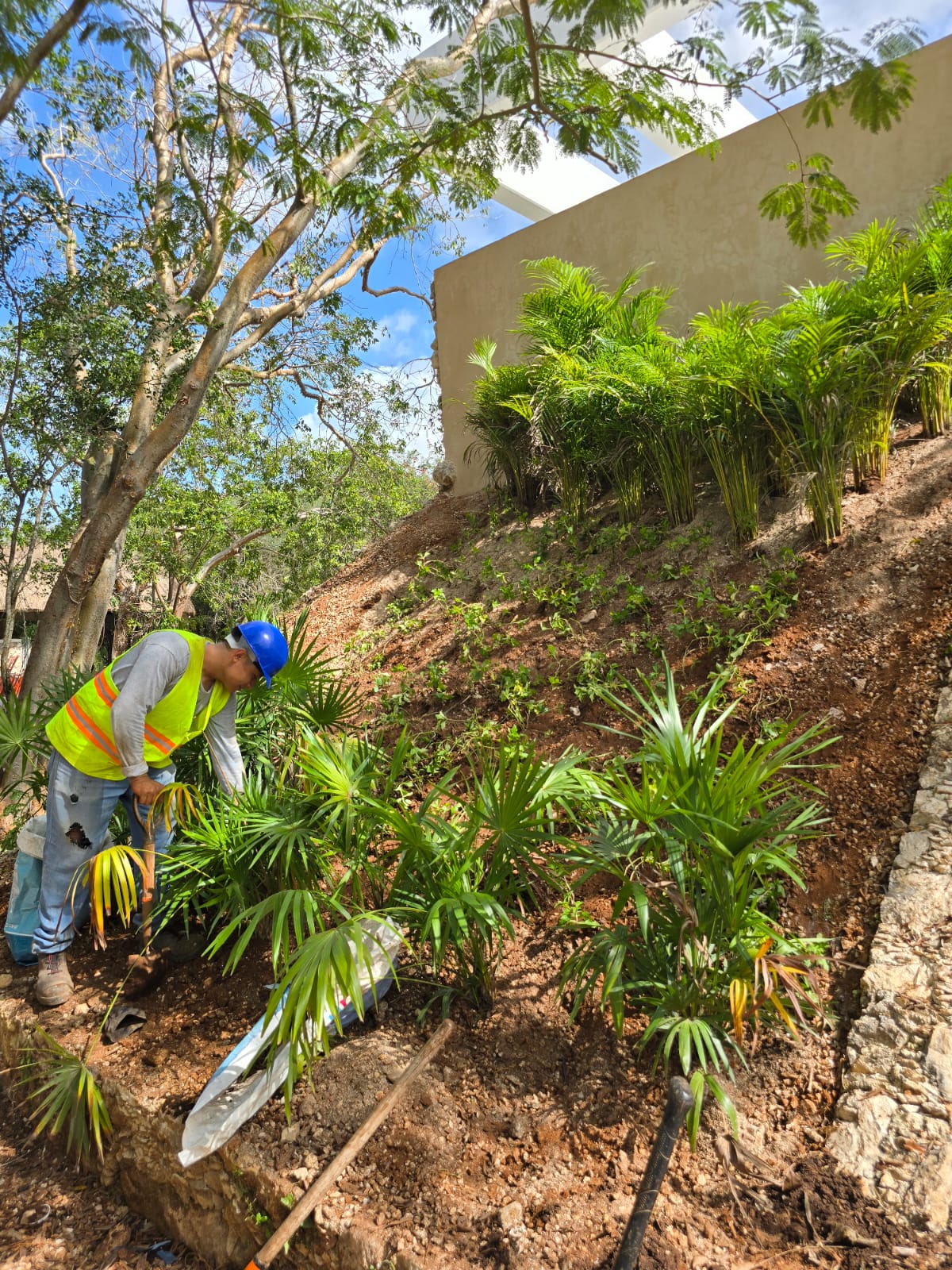 servicios de Mayan Garden