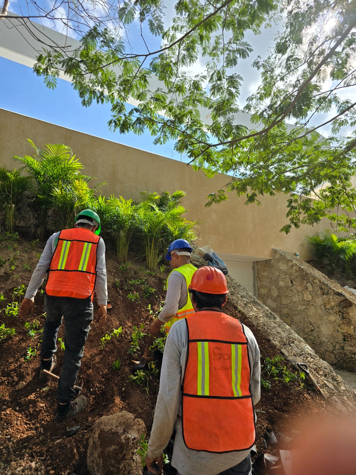 servicios de Mayan Garden