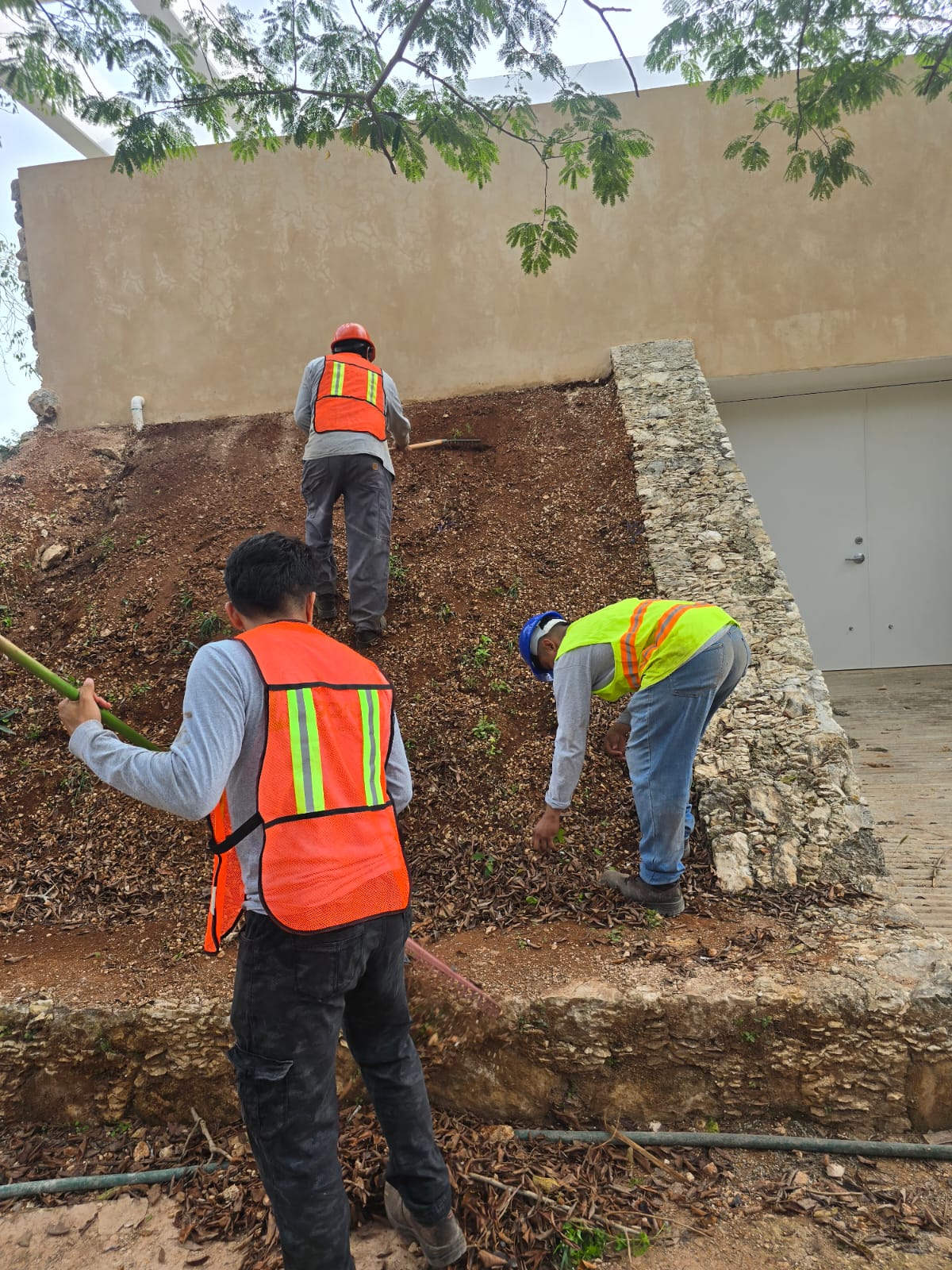 servicios de Mayan Garden