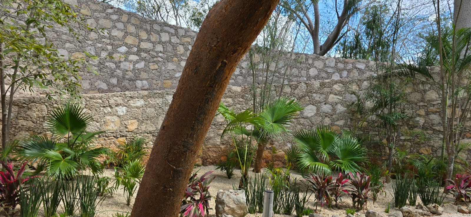 servicios de Mayan Garden