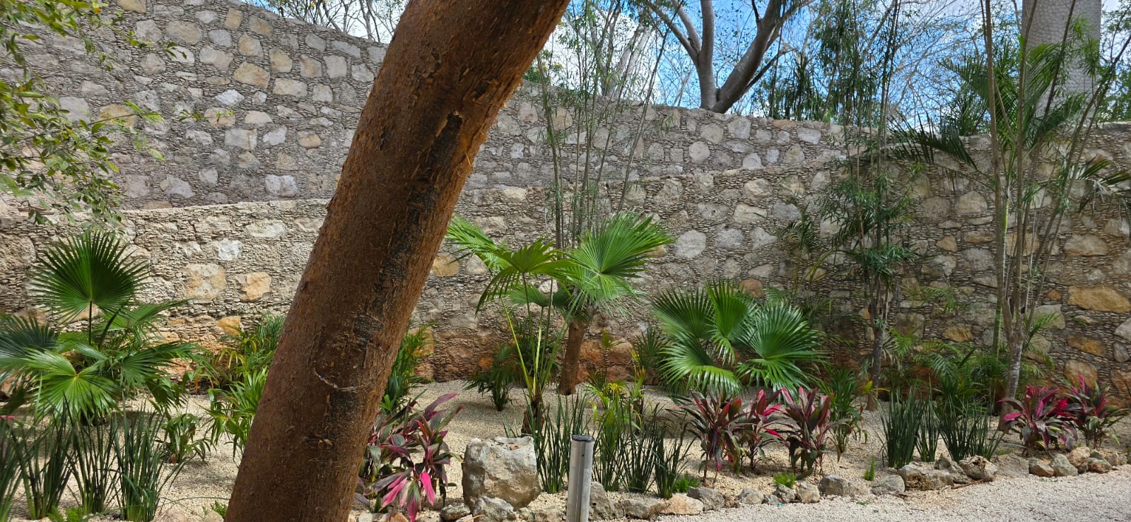 servicios de Mayan Garden