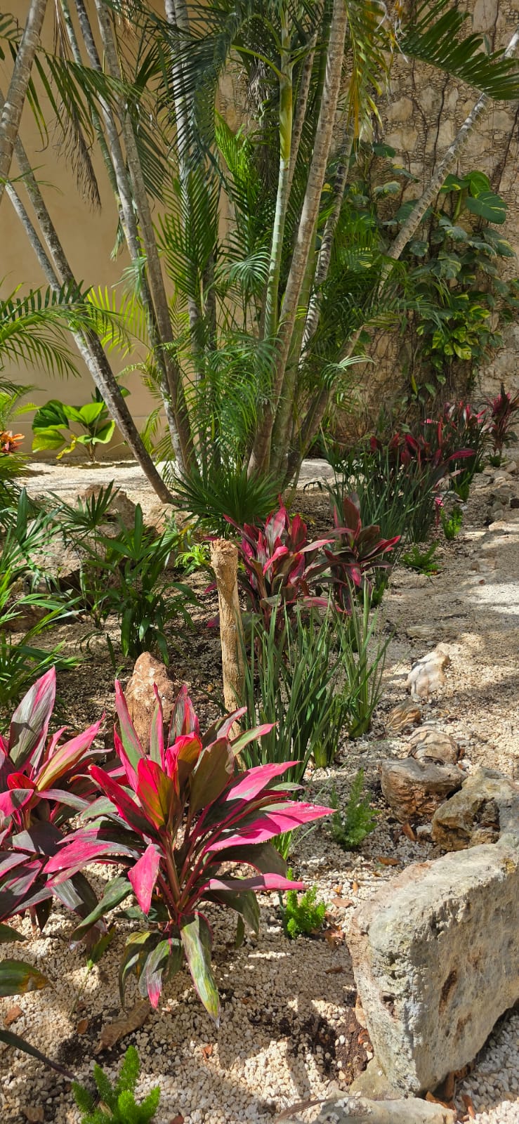 servicios de Mayan Garden