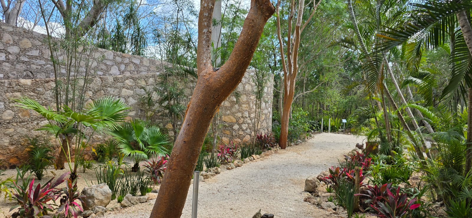 servicios de Mayan Garden