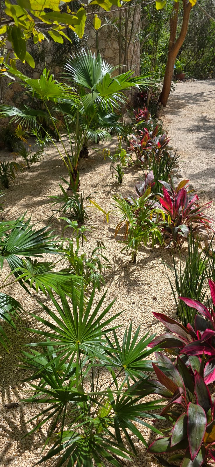 servicios de Mayan Garden