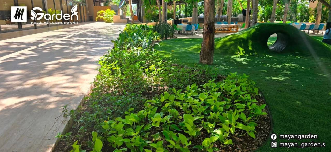 servicios de Mayan Garden