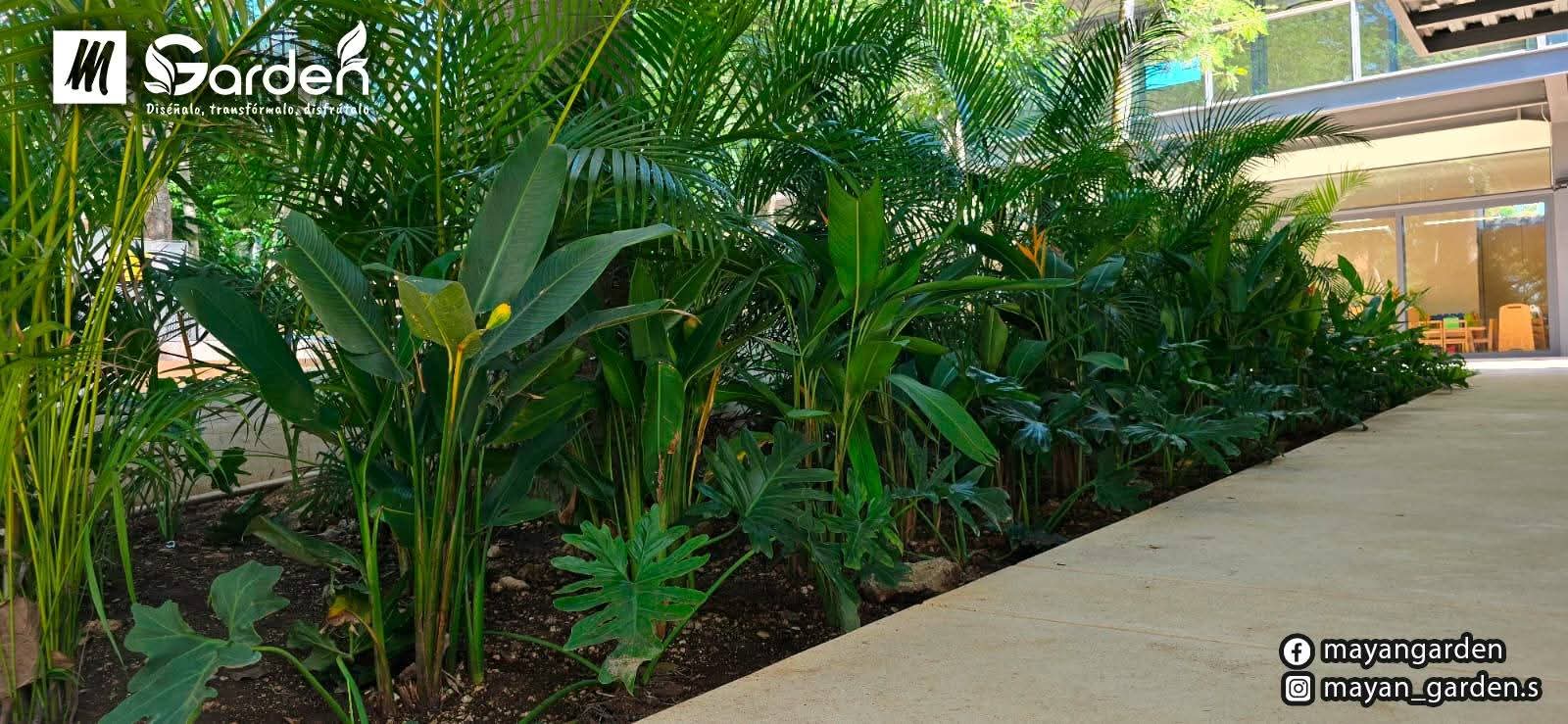 servicios de Mayan Garden