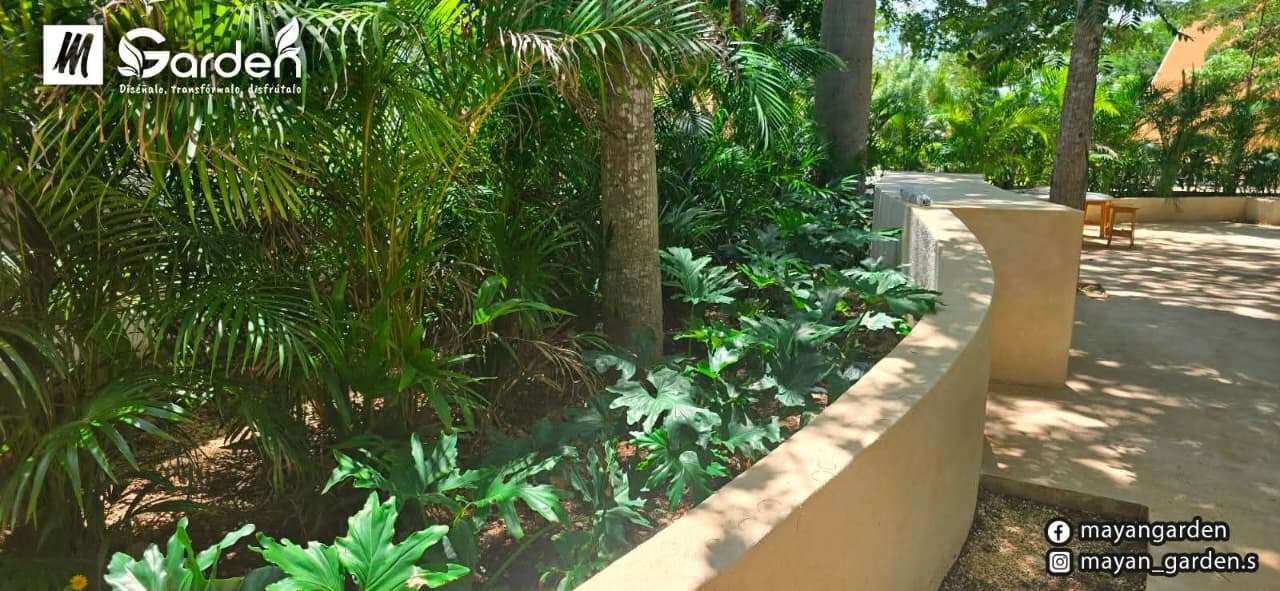 servicios de Mayan Garden